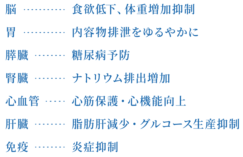 脳…食欲低下、体重増加抑制 | 胃…内容物排泄をゆるやかに | 膵臓…糖尿病予防 | 腎臓…ナトリウム排出増加 | 心血管…心筋保護・心機能向上 | 肝臓…脂肪肝減少・グルコース生産抑制 | 免疫…炎症抑制